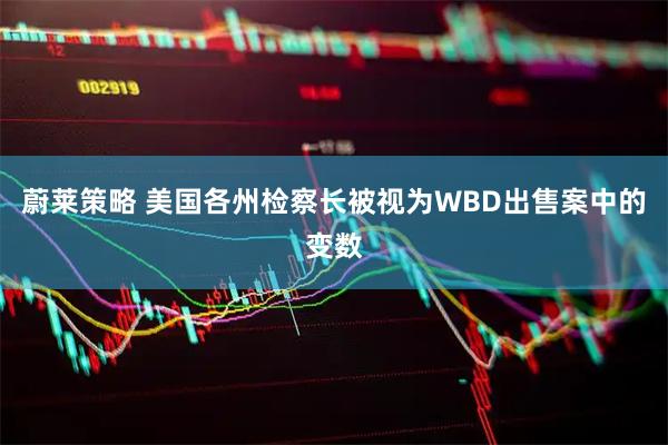 蔚莱策略 美国各州检察长被视为WBD出售案中的变数