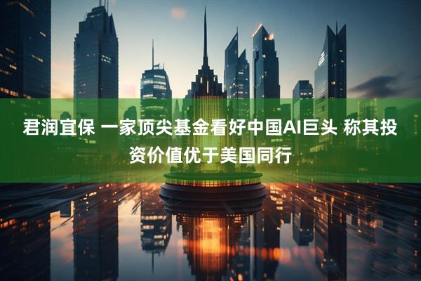 君润宜保 一家顶尖基金看好中国AI巨头 称其投资价值优于美国同行
