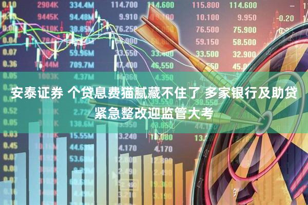 安泰证券 个贷息费猫腻藏不住了 多家银行及助贷紧急整改迎监管大考