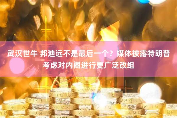 武汉世牛 邦迪远不是最后一个？媒体披露特朗普考虑对内阁进行更广泛改组