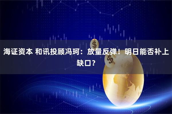 海证资本 和讯投顾冯珂：放量反弹！明日能否补上缺口？