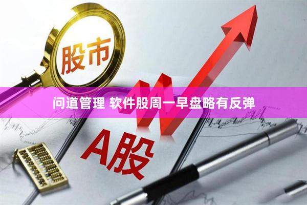 问道管理 软件股周一早盘略有反弹