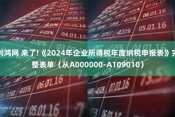 利鸿网 来了!《2024年企业所得税年度纳税申报表》完整表单（从A000000-A109010）