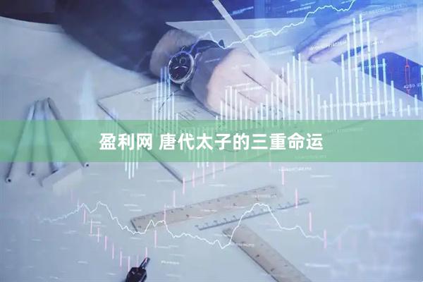 盈利网 唐代太子的三重命运